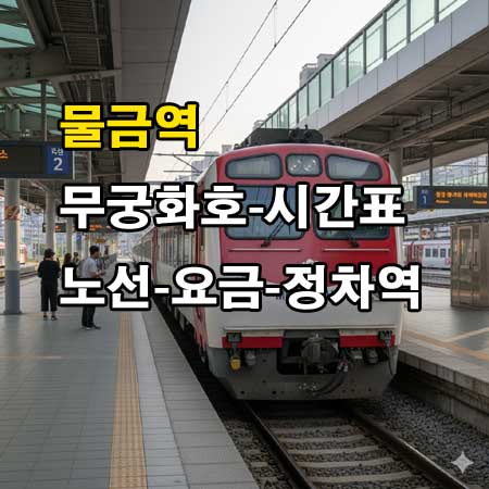 물금역-무궁화호-시간표-정차역-노선도-첫기차-마지막기차-요금표